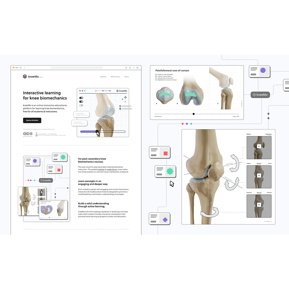 platform for learning knee biomechanics