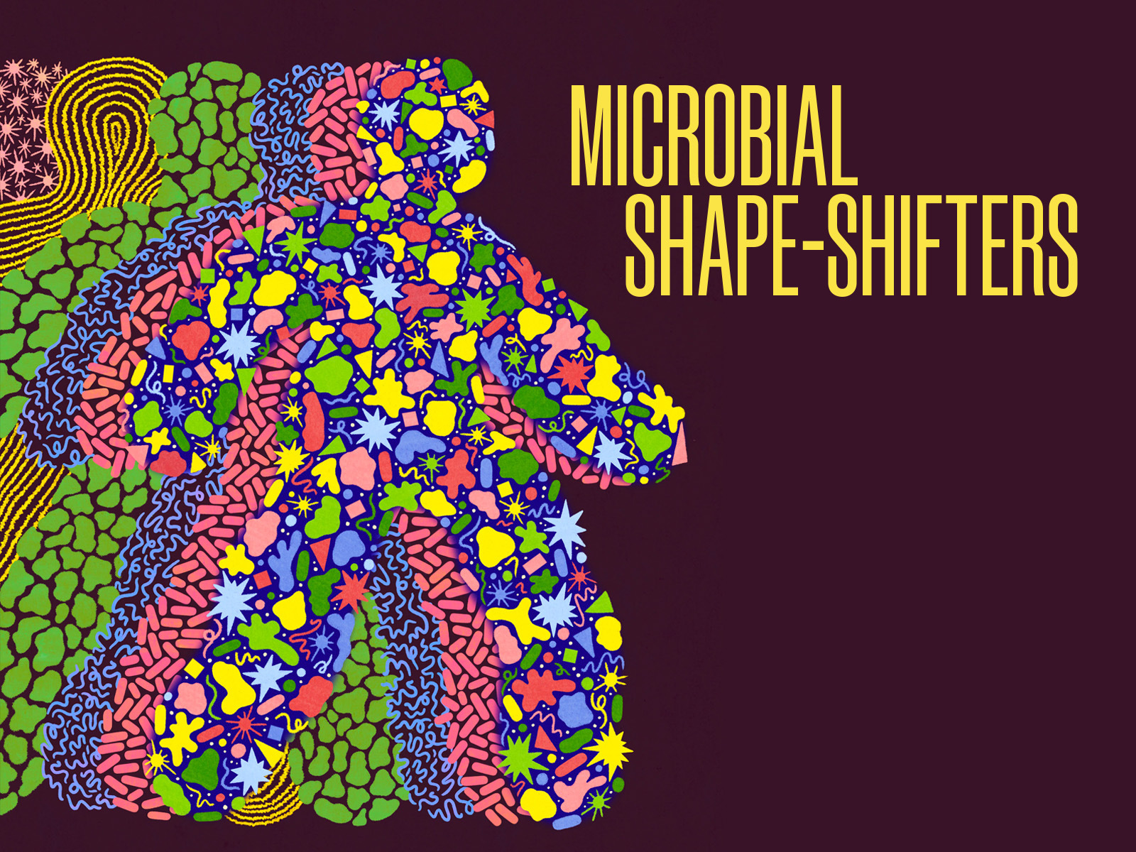 illustration of the outline of people with patterns that reference microbes